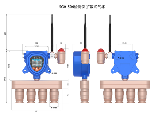 深國(guó)安氣體檢測(cè)儀
