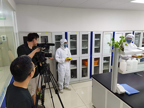 ?丙酸安全標準限值是多少