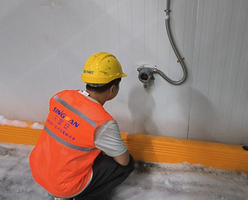 丁醛檢測(cè)儀