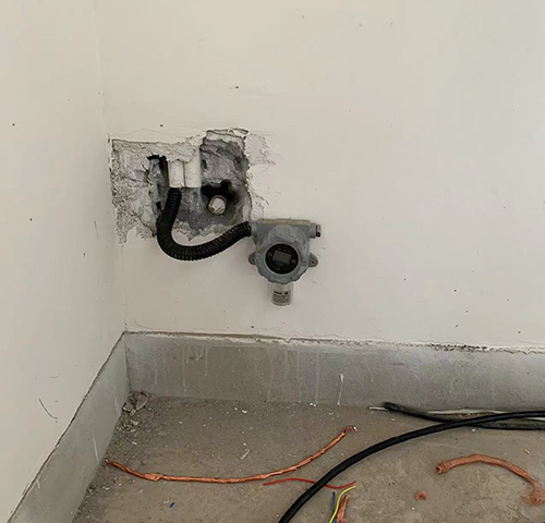 丁醛檢測(cè)儀