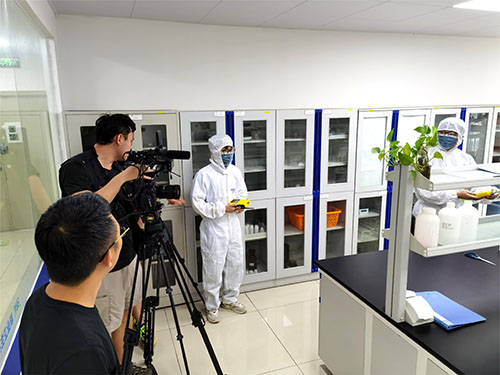 實(shí)驗(yàn)室便攜式丁酮檢測(cè)儀